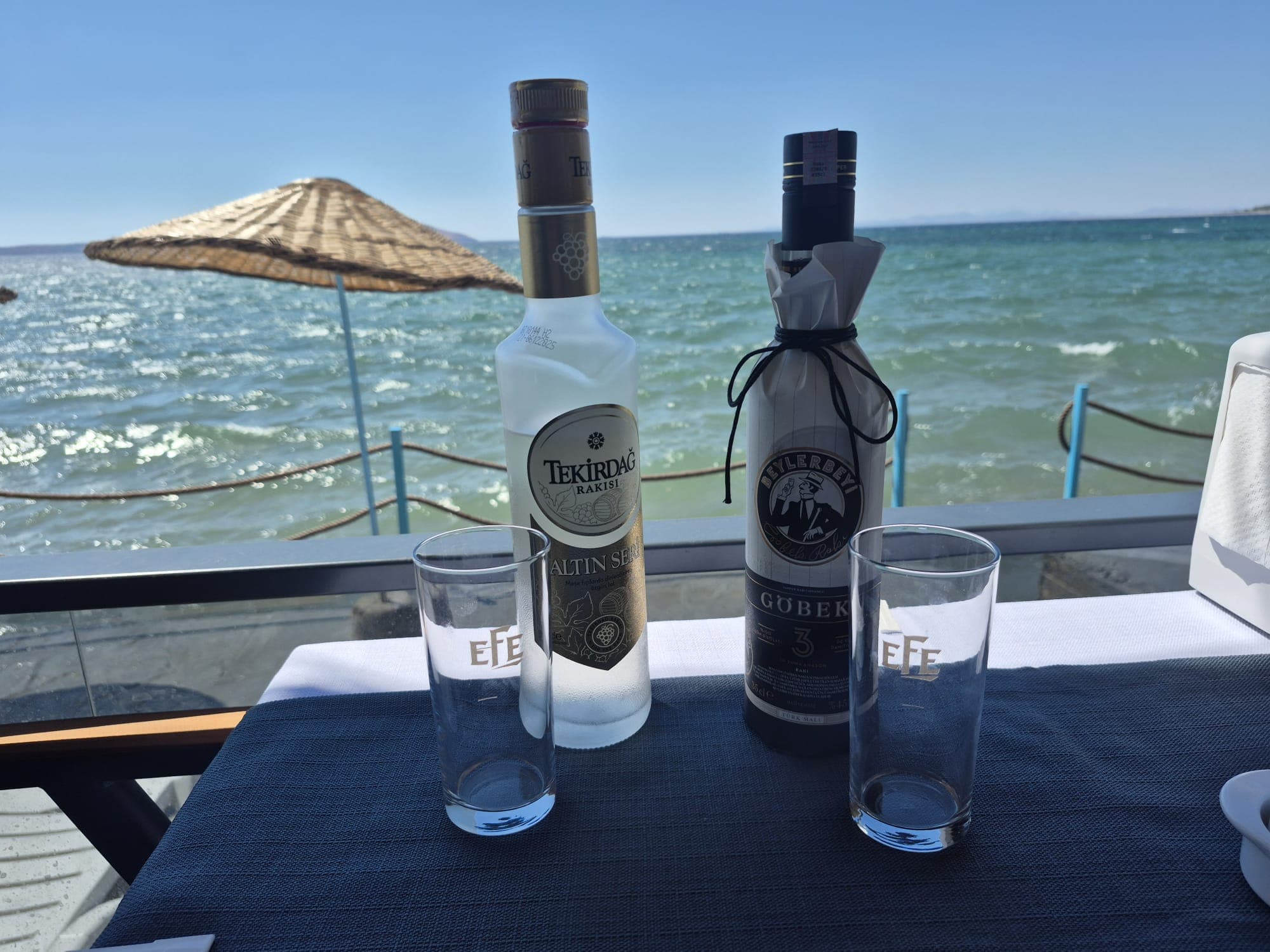 Rakı Sofrası
